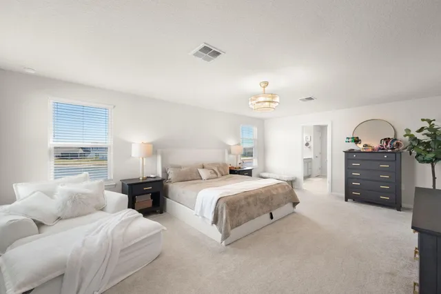 a spacious bedroom with a bed and a cabinets
