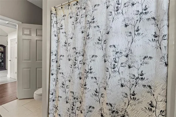 a view of a yard with plants and large trees