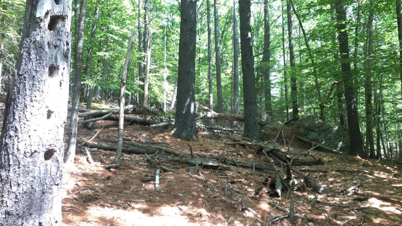 0 Swetts Pond Road Orrington, ME 04474 - Photo 1 of 6 0 swetts pond