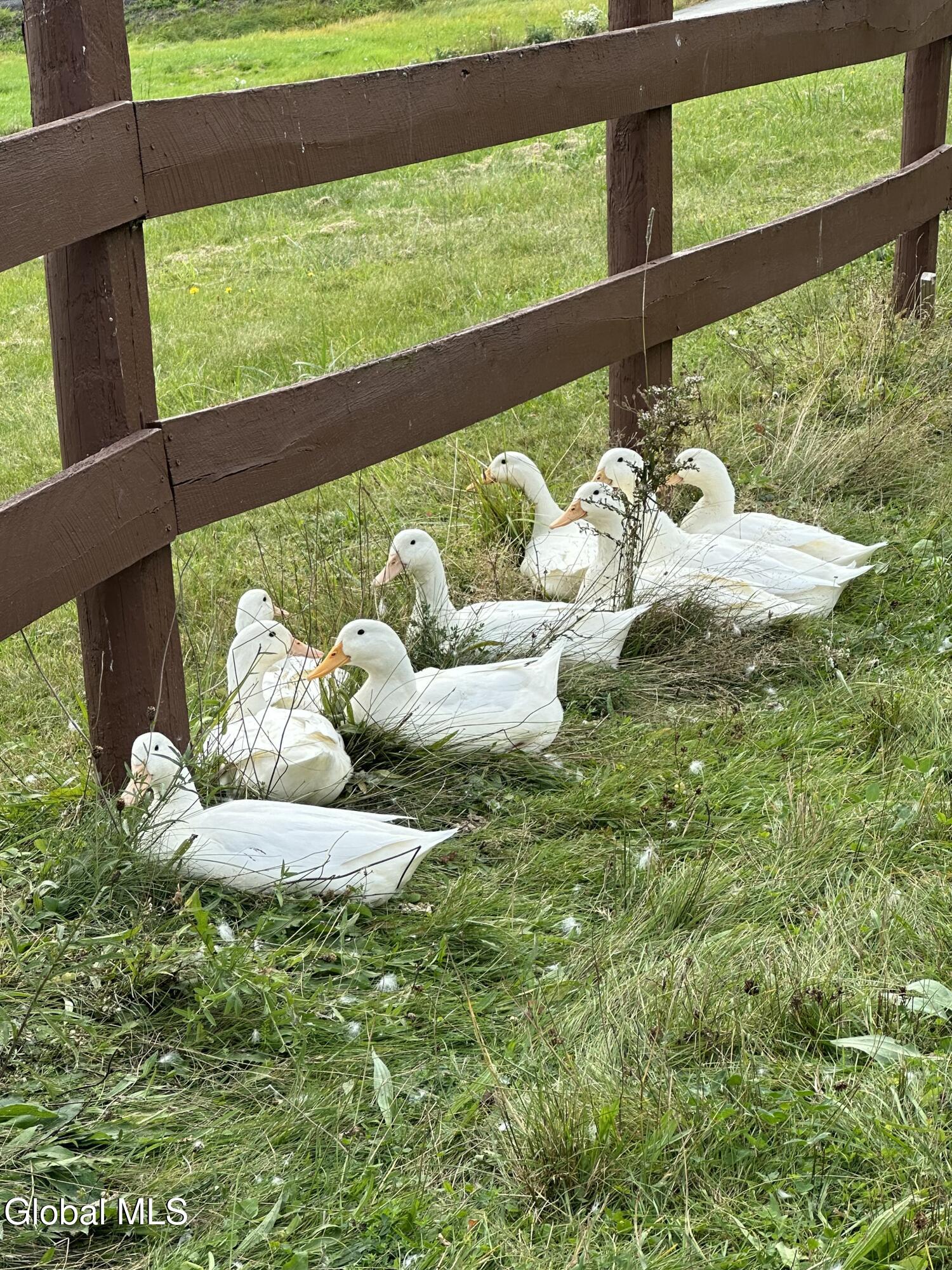 1892 Knox Cave Road Knox, NY 12053 - Photo 75 of 81 IMG_6171