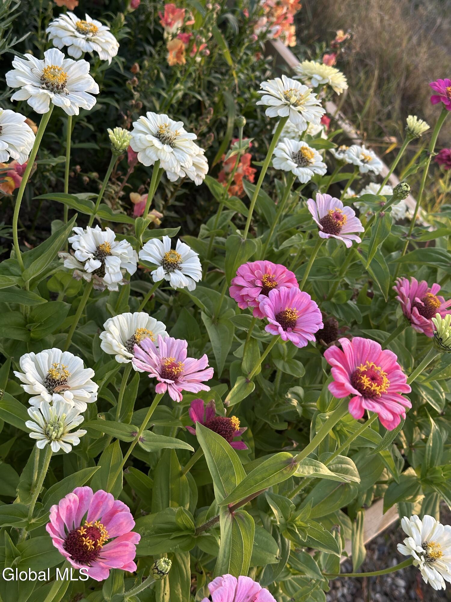 1892 Knox Cave Road Knox, NY 12053 - Photo 78 of 81 IMG_4441_Original