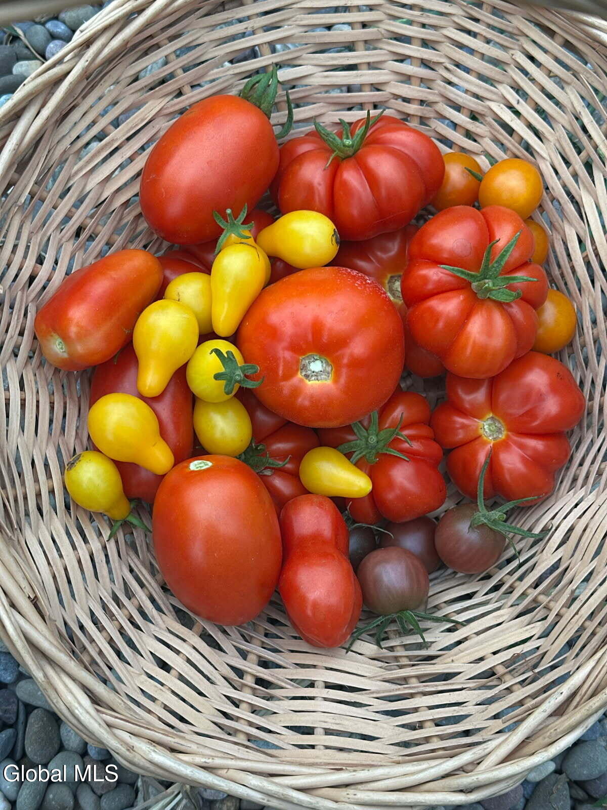 1892 Knox Cave Road Knox, NY 12053 - Photo 79 of 81 image000000