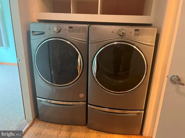 a view of a backyard with a large tree