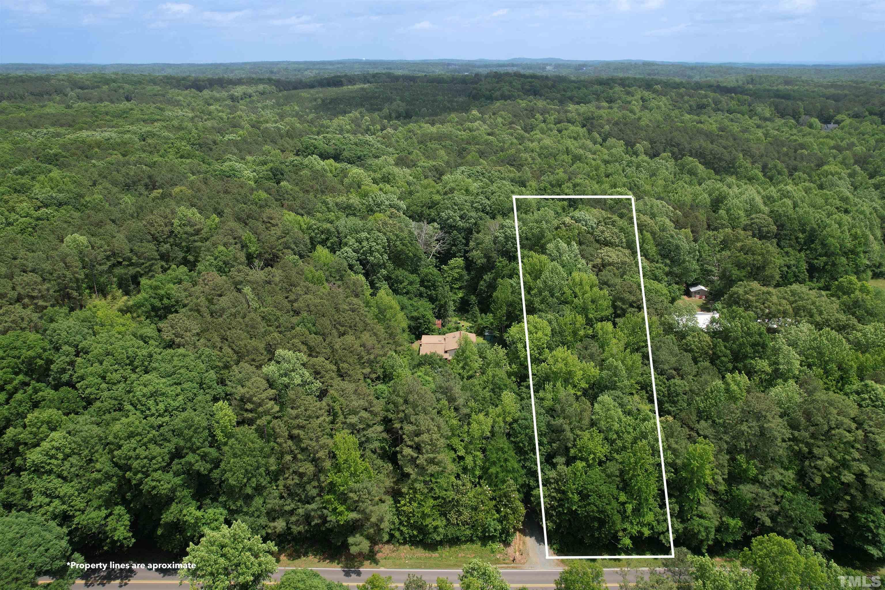 Tbd2 Hamlets Chapel Road Pittsboro, NC 27312 - Photo 1 of 10 a view of a lush green forest with a house