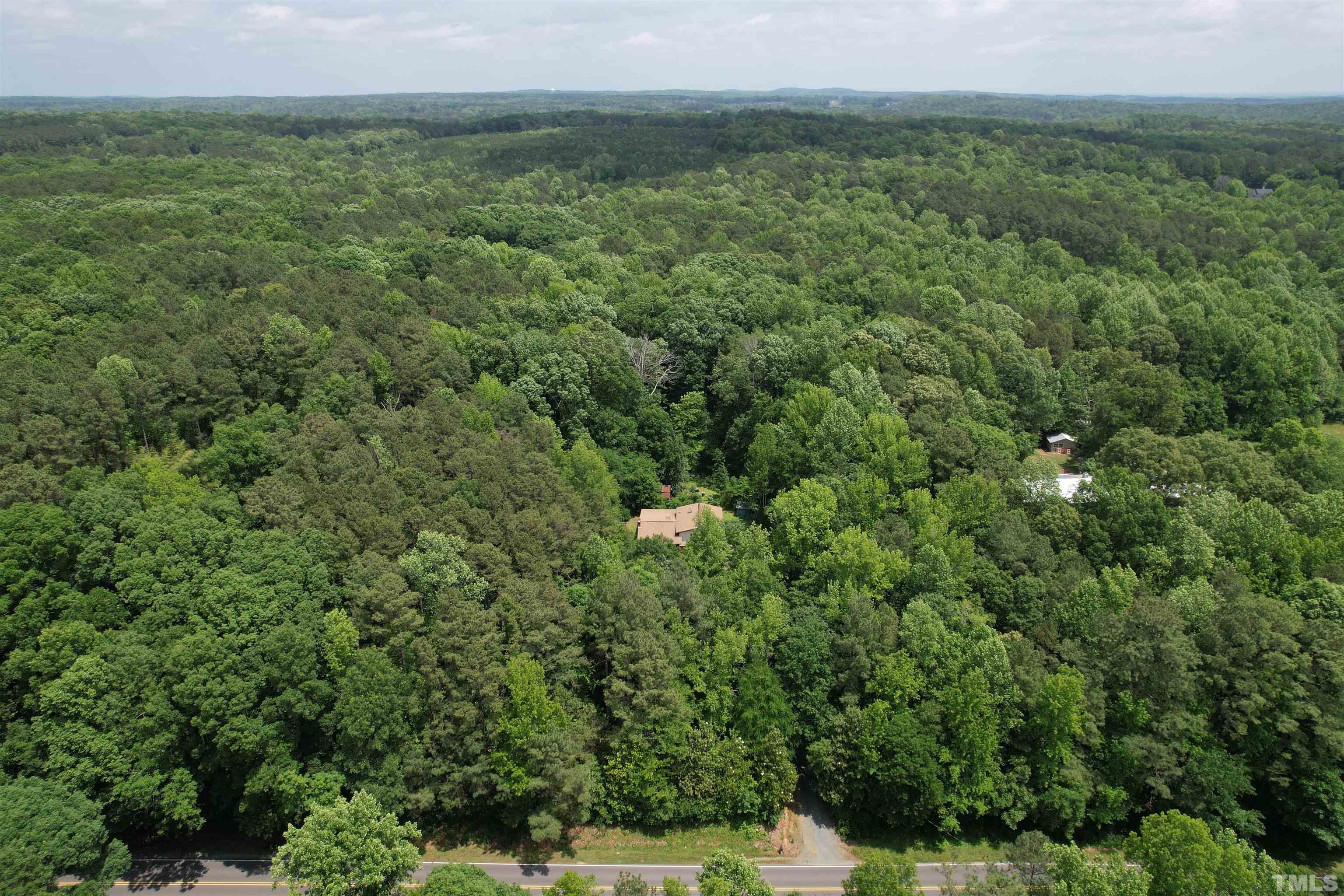 Tbd2 Hamlets Chapel Road Pittsboro, NC 27312 - Photo 2 of 10 a view of a lush green forest with lots of trees