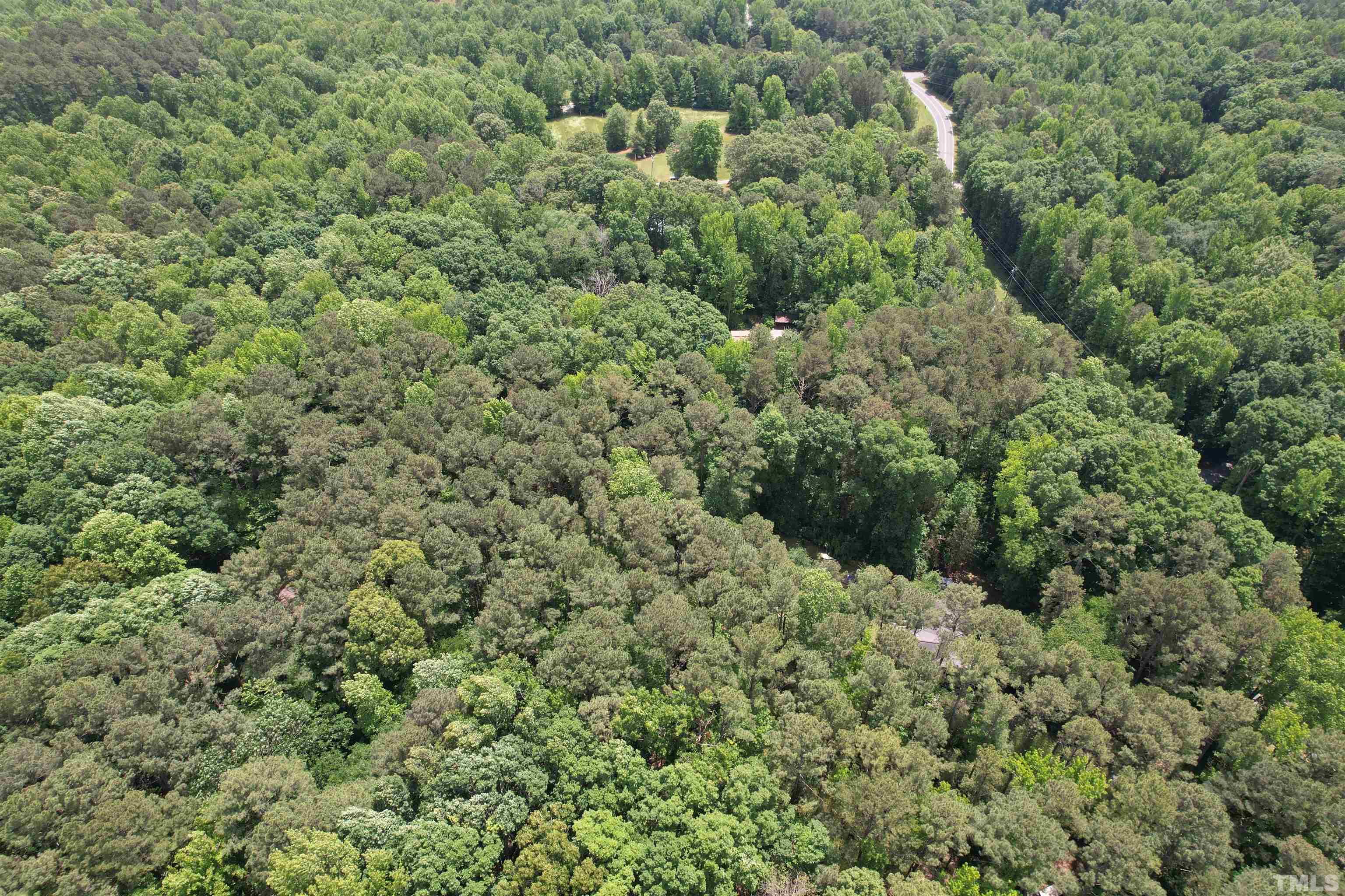 Tbd2 Hamlets Chapel Road Pittsboro, NC 27312 - Photo 5 of 10 a view of a forest with a street