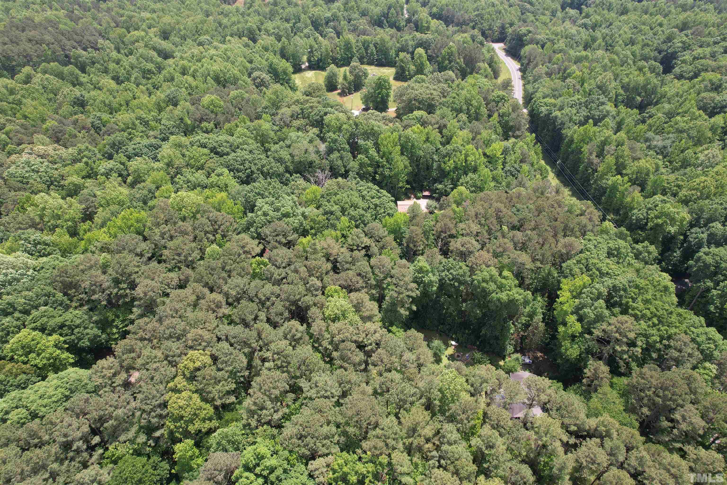 Tbd2 Hamlets Chapel Road Pittsboro, NC 27312 - Photo 6 of 10 a view of a forest with a houses