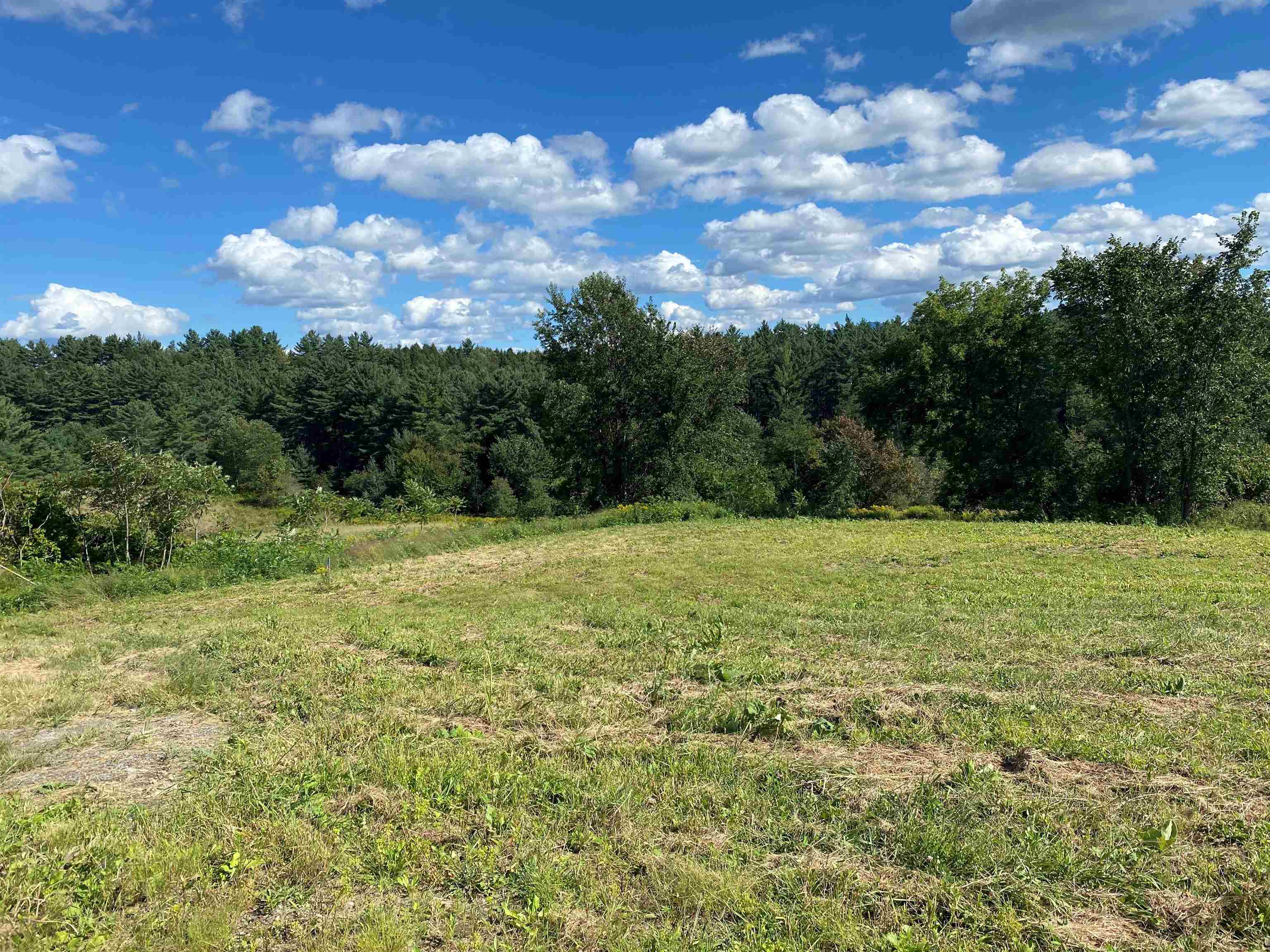 Lot 5 Ferguson Road Fairfax, VT 05454 - Photo 5 of 17