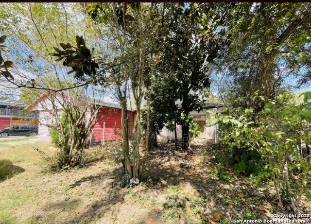 614 4th Street Natalia, TX 78059 - Photo 3 of 8 a view of a tree in front of a house