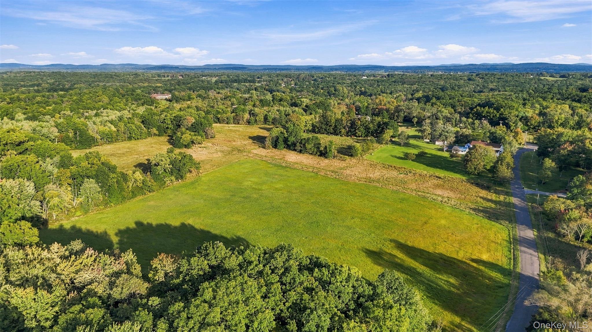 4 Low Road Wallkill, NY 12589 - Photo 9 of 49 30 acres of beauty!
