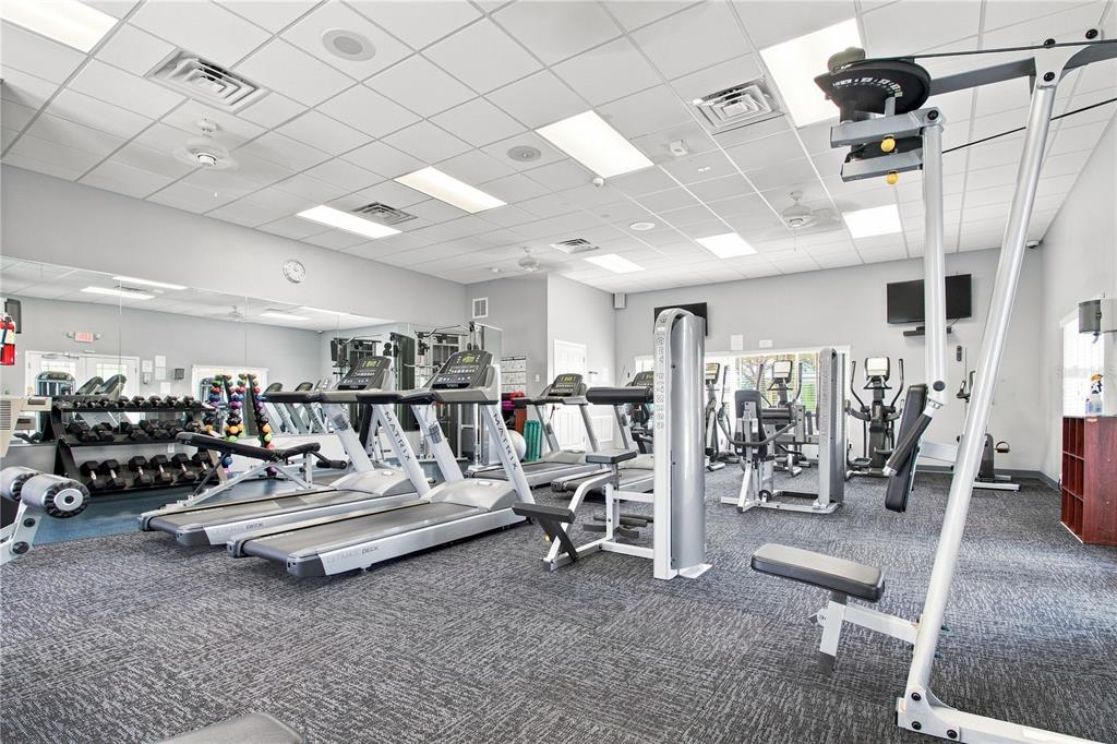5321 Sandy Shell Drive Apollo Beach, FL 33572 - Photo 58 of 62 Gallery Image 58