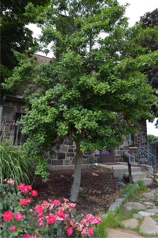 1098 Burtner Road Natrona Heights, PA 15065 - Photo 22 of 25 a view of a garden with flowers and trees