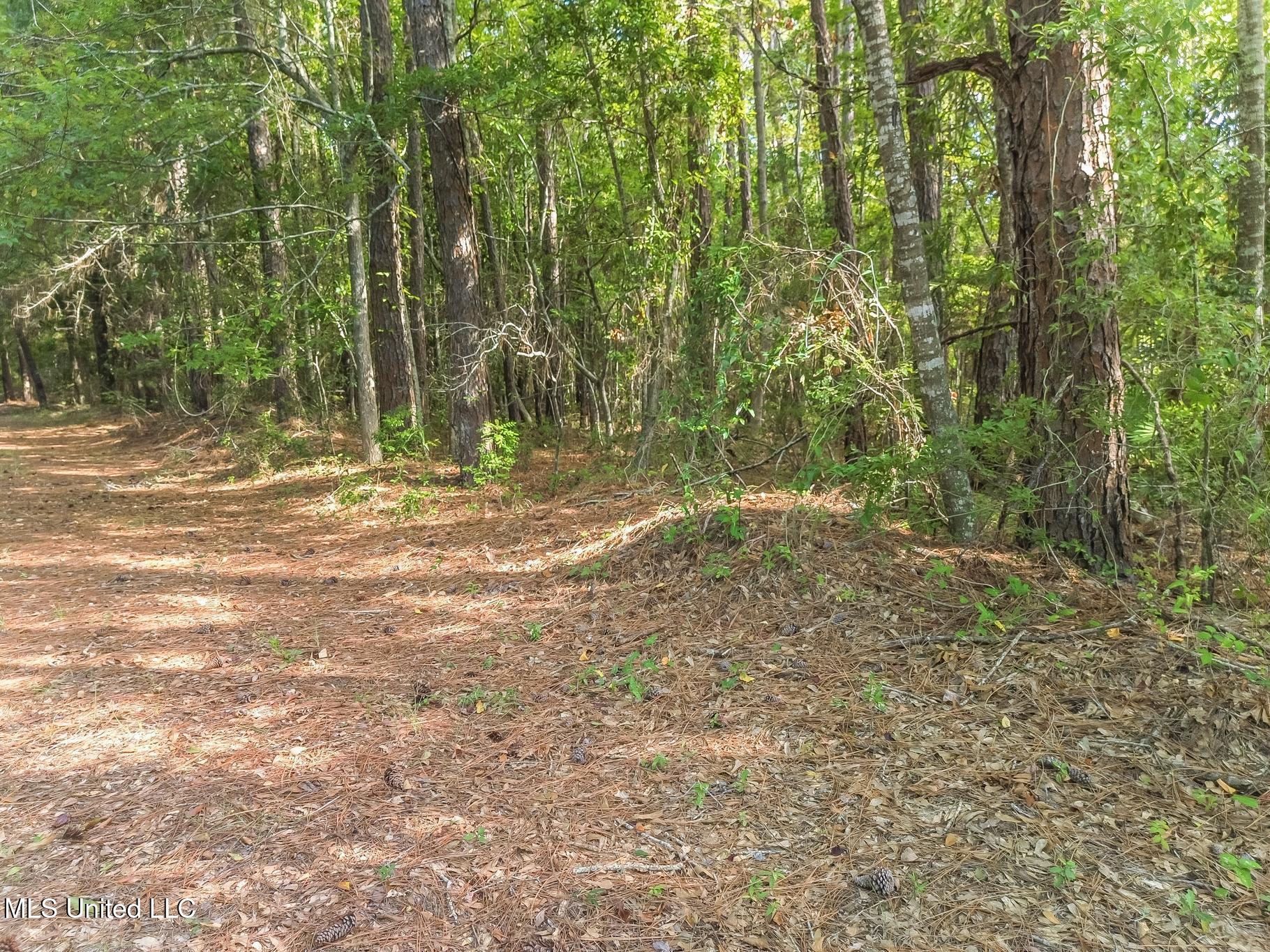 0 9th Street Long Beach, MS 39560 - Photo 17 of 19 DJI_0322