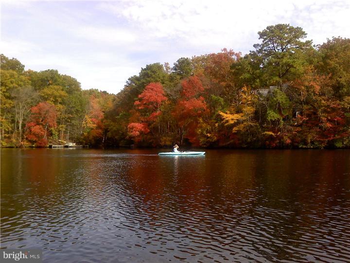 9 Pine Road Medford, NJ 08055 - Photo 2 of 24 Lake / Pond