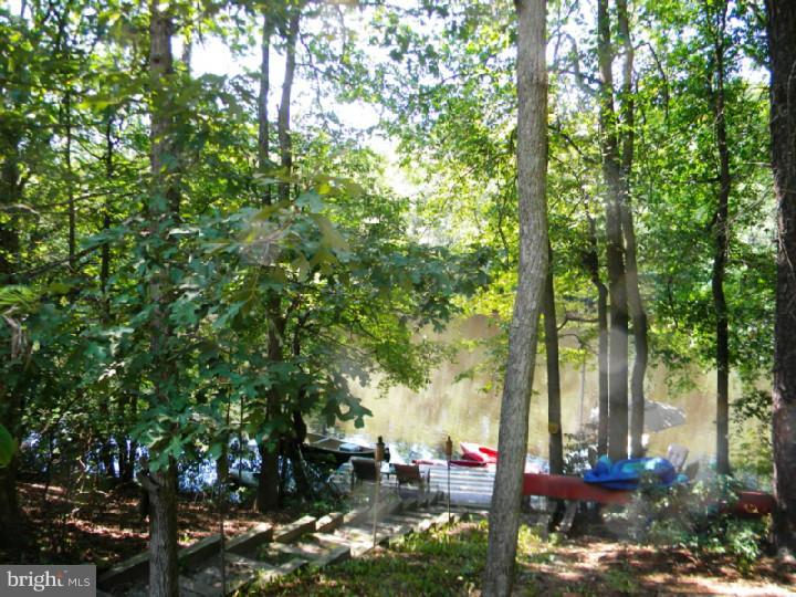 9 Pine Road Medford, NJ 08055 - Photo 5 of 24