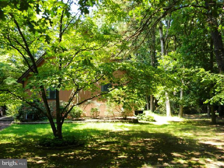 9 Pine Road Medford, NJ 08055 - Photo 6 of 24