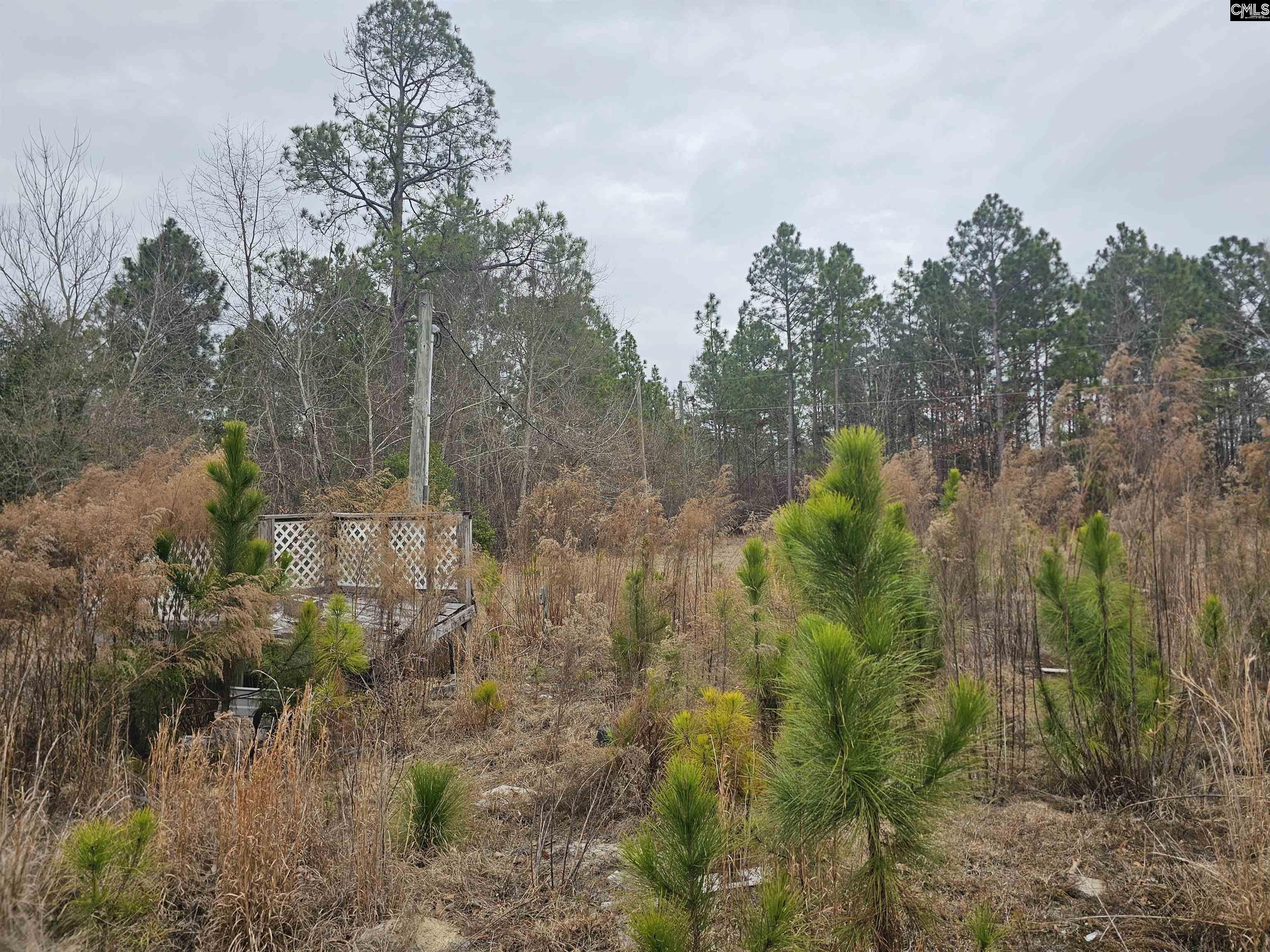 722 Jeff Sharpe Road Gaston, SC 29053 - Photo 7 of 18