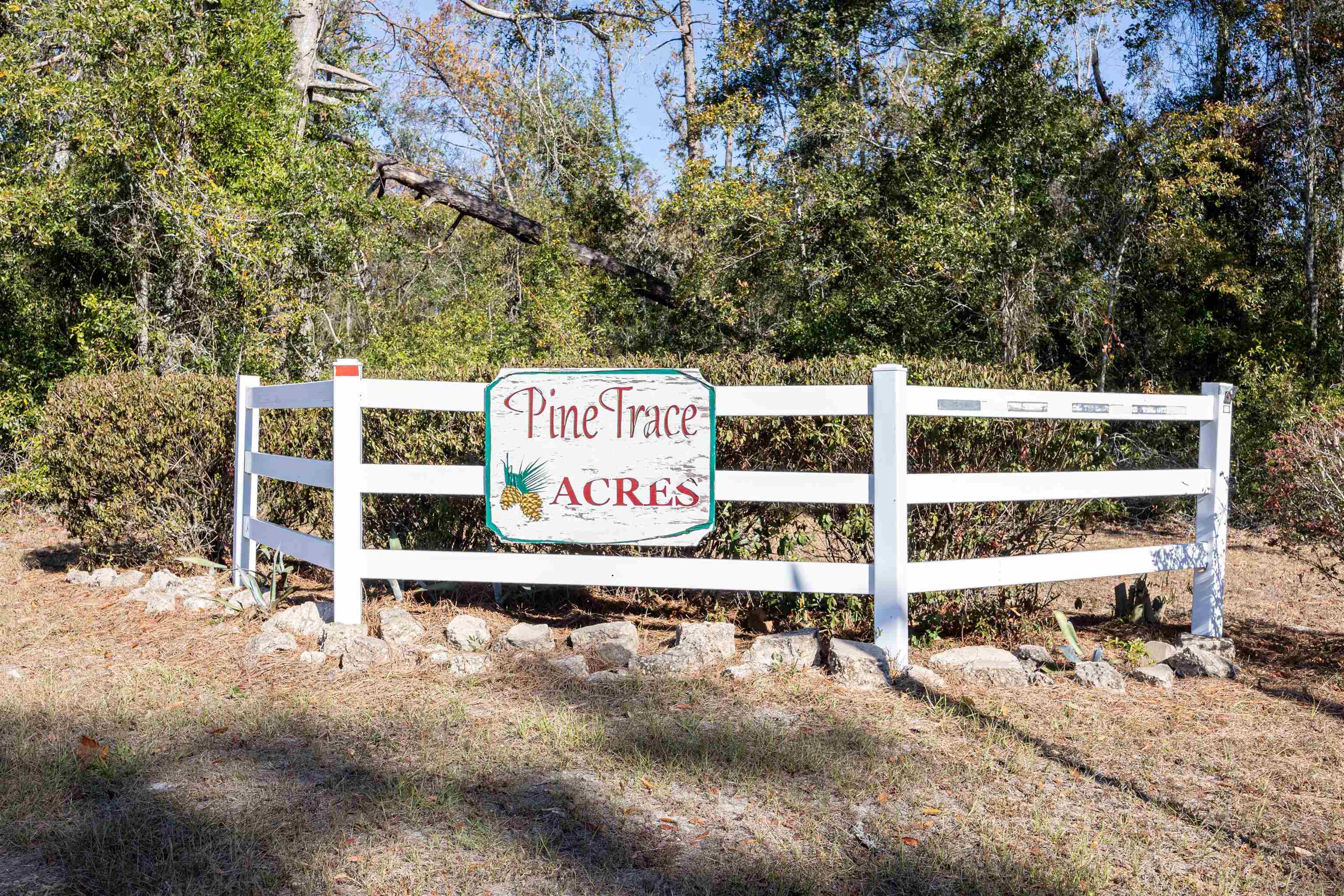 285 Northeast Green Tree Terrace Lee, FL 32059 - Photo 26 of 30