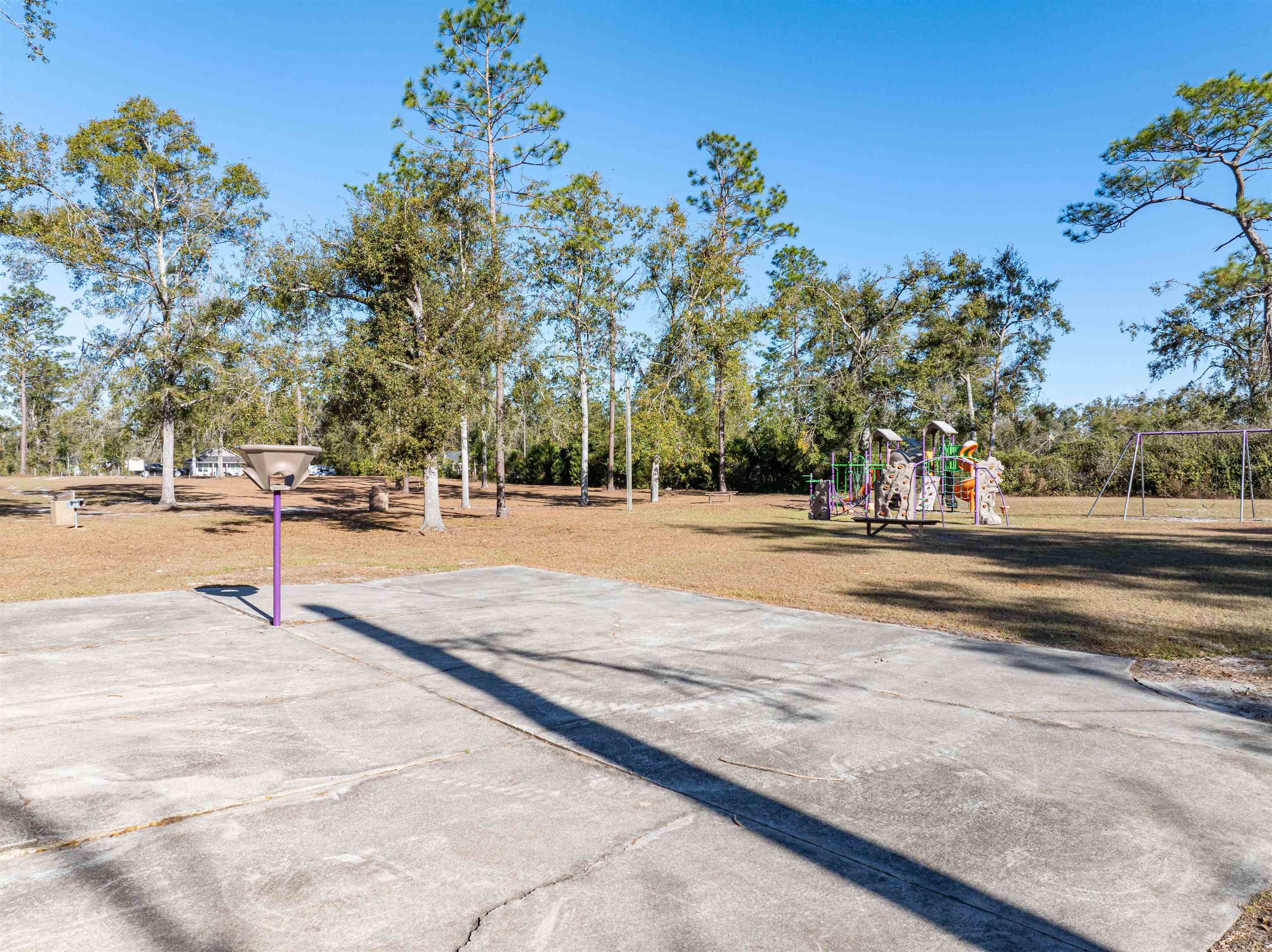 285 Northeast Green Tree Terrace Lee, FL 32059 - Photo 27 of 30