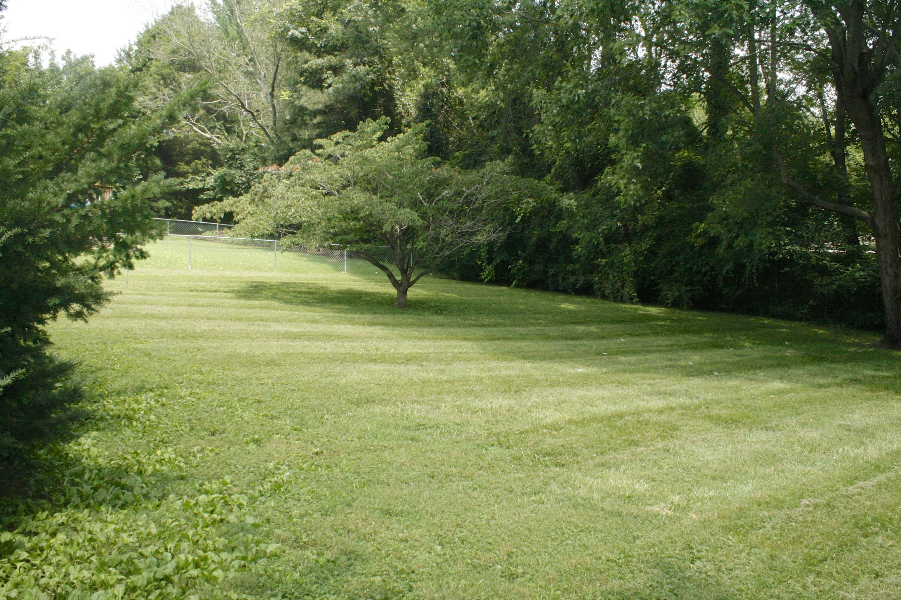 7720 Cedarcrest Road Knoxville, TN 37938 - Photo 14 of 38 _MG_7395