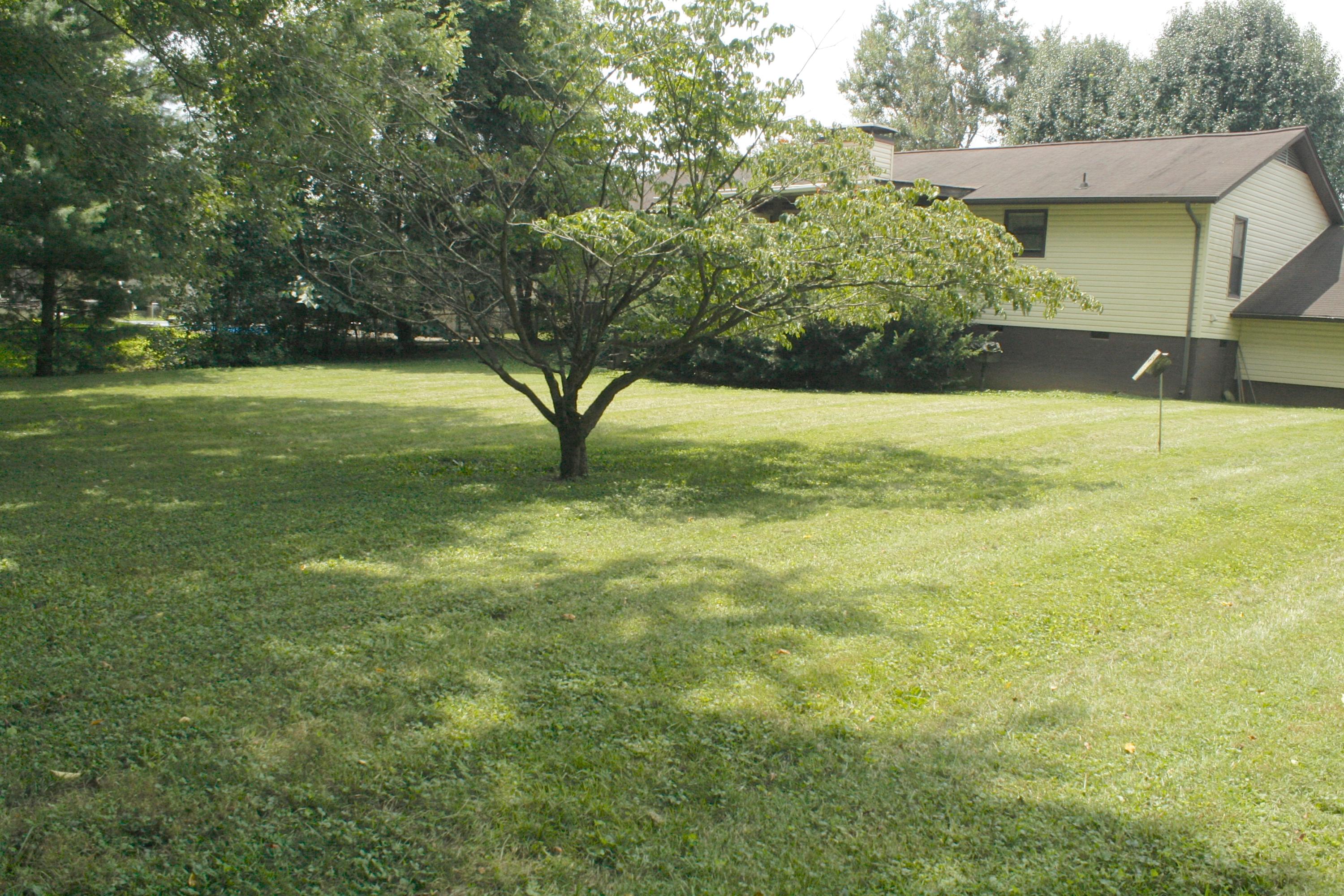 7720 Cedarcrest Road Knoxville, TN 37938 - Photo 9 of 38 _MG_7401