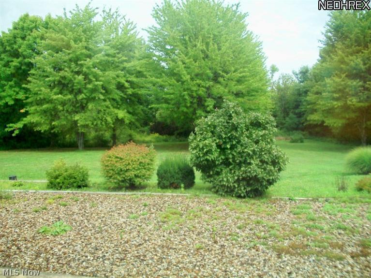 2215 Center Road Hinckley, OH 44233 - Photo 13 of 15 This is what you see when you look out the back windows.