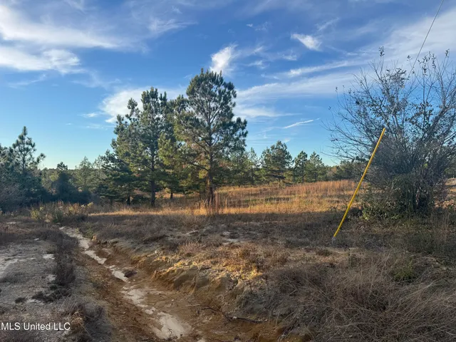 $80,000 | 8-acres 8-acres Parker Road, McHenry, MS 39561