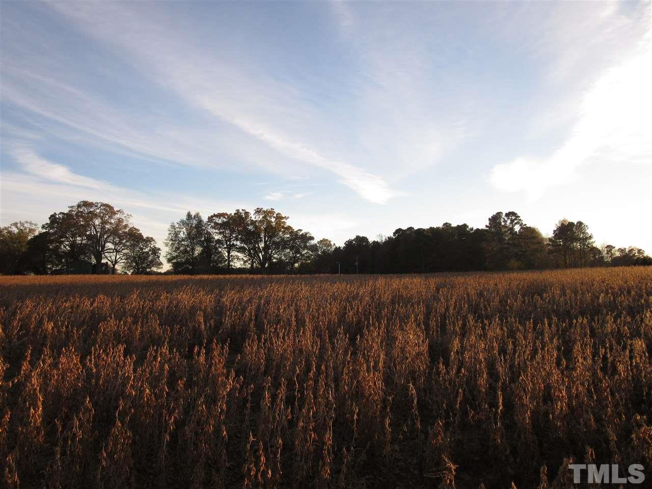 Lot 10 Buck Road, Unit 10 02 ACRES Middlesex, NC 27557 - Photo 1 of 5 Gallery Image 1