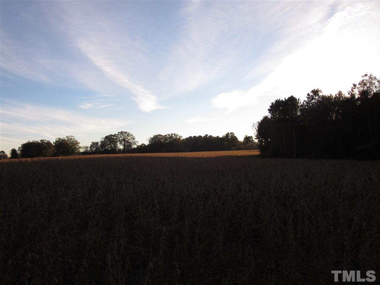 Lot 10 Buck Road, Unit 10 02 ACRES Middlesex, NC 27557 - Photo 2 of 5 Gallery Image 2