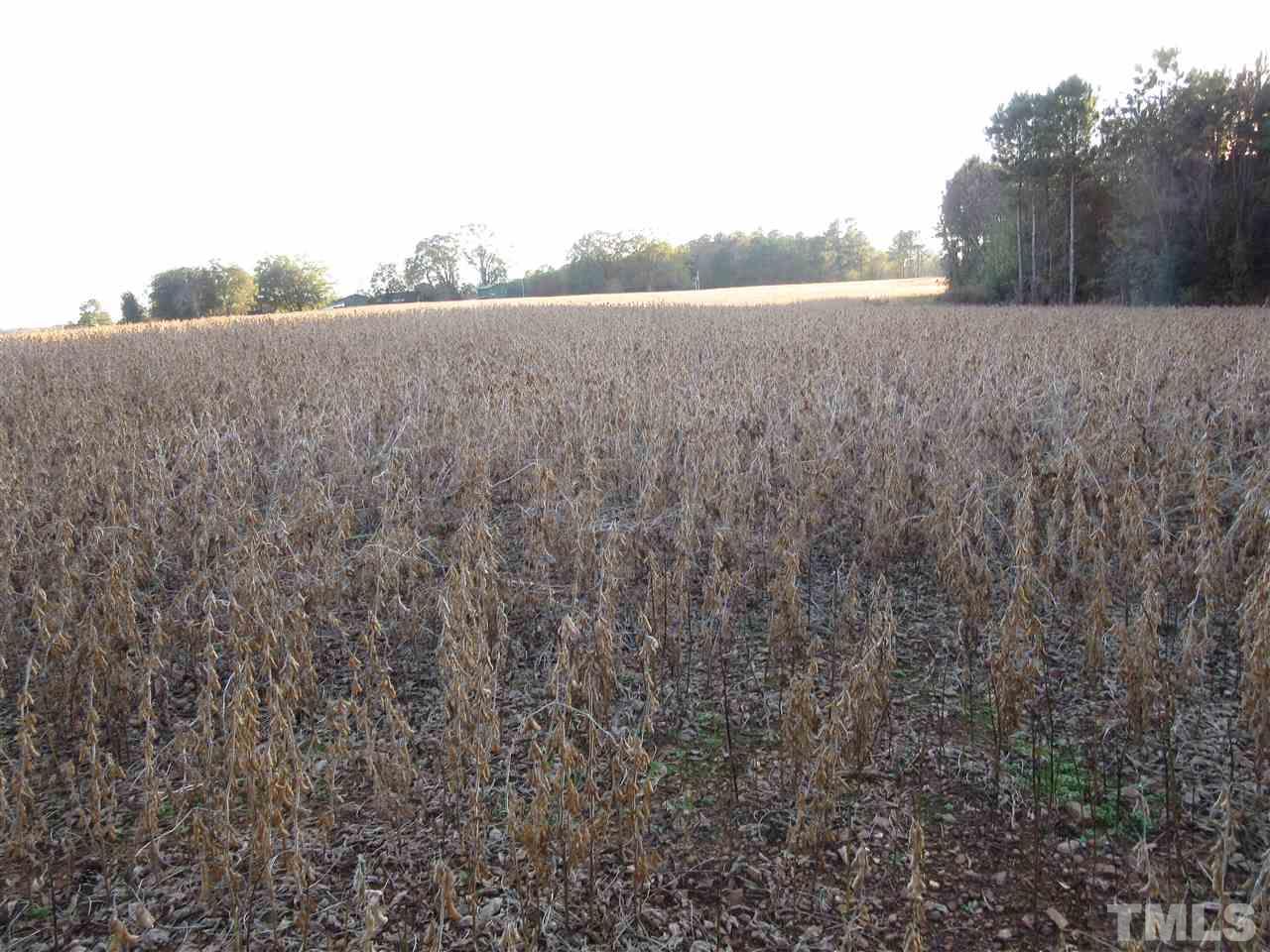 Lot 10 Buck Road, Unit 10 02 ACRES Middlesex, NC 27557 - Photo 4 of 5 Gallery Image 4