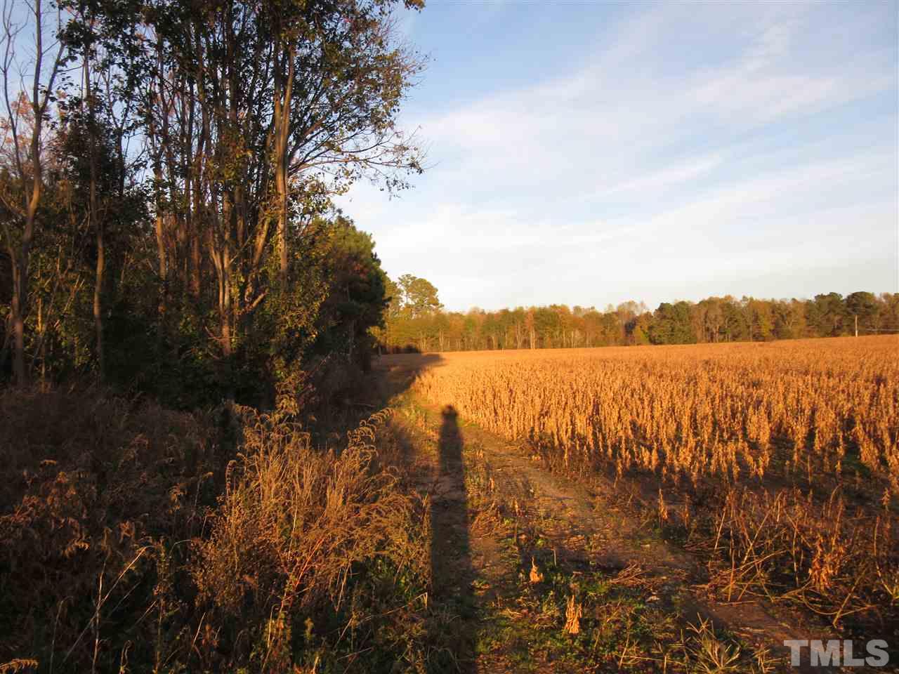 Lot 10 Buck Road, Unit 10 02 ACRES Middlesex, NC 27557 - Photo 5 of 5 Gallery Image 5