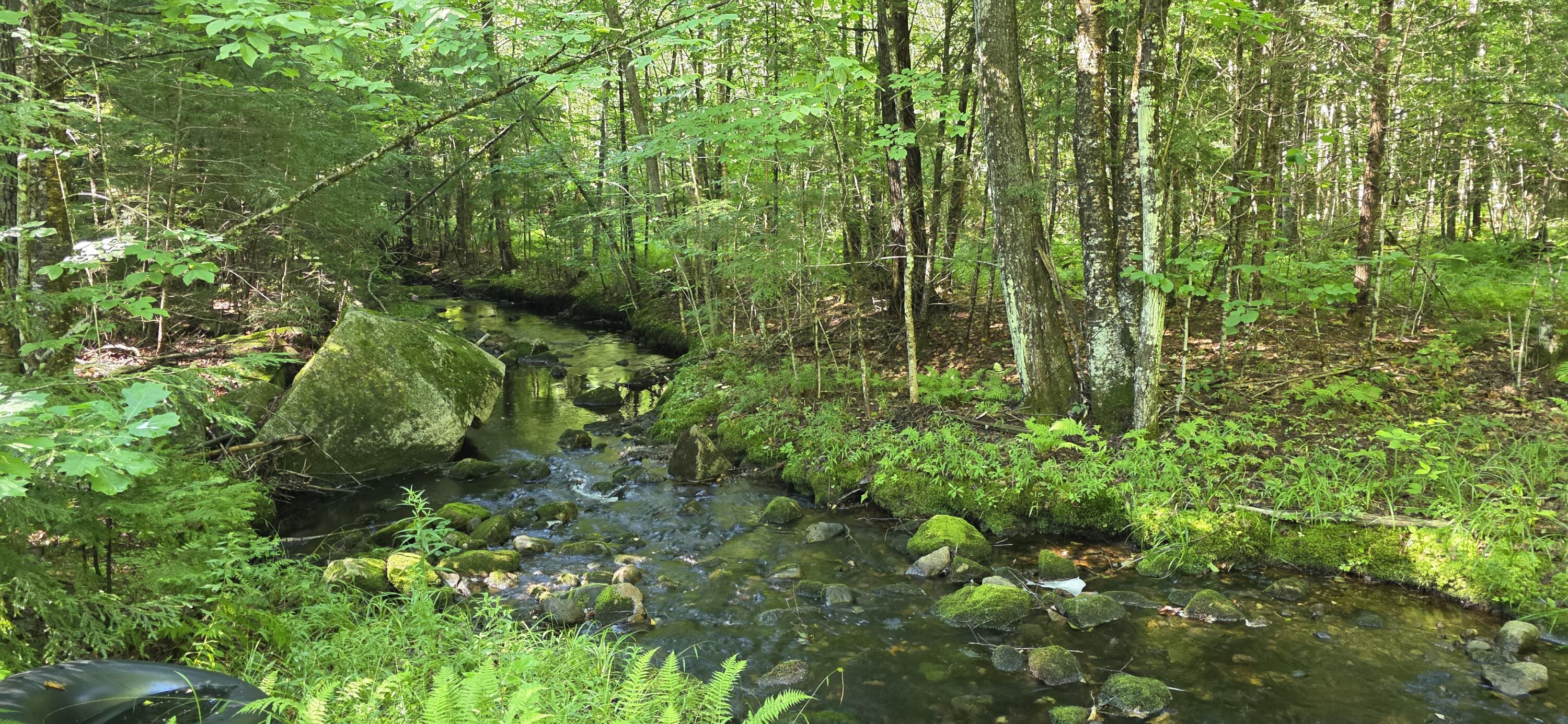 356 Wiley Road Norway, ME 04268 - Photo 13 of 50 20260804_093158
