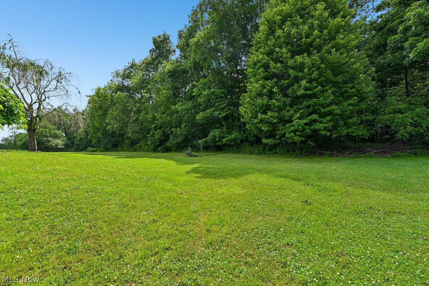 16040 Rapids Road Burton, OH 44021 - Photo 47 of 49
