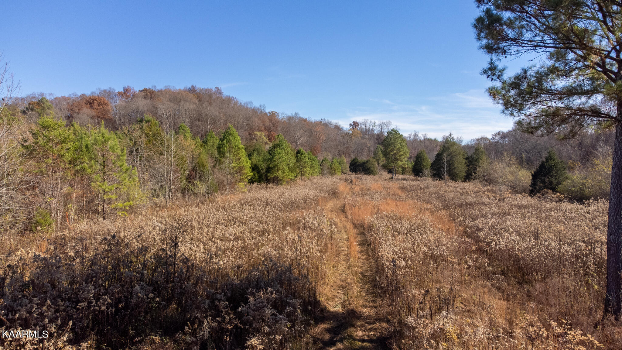 38 R Athens Road Delano, TN 37325 - Photo 1 of 14 Chestuee-01