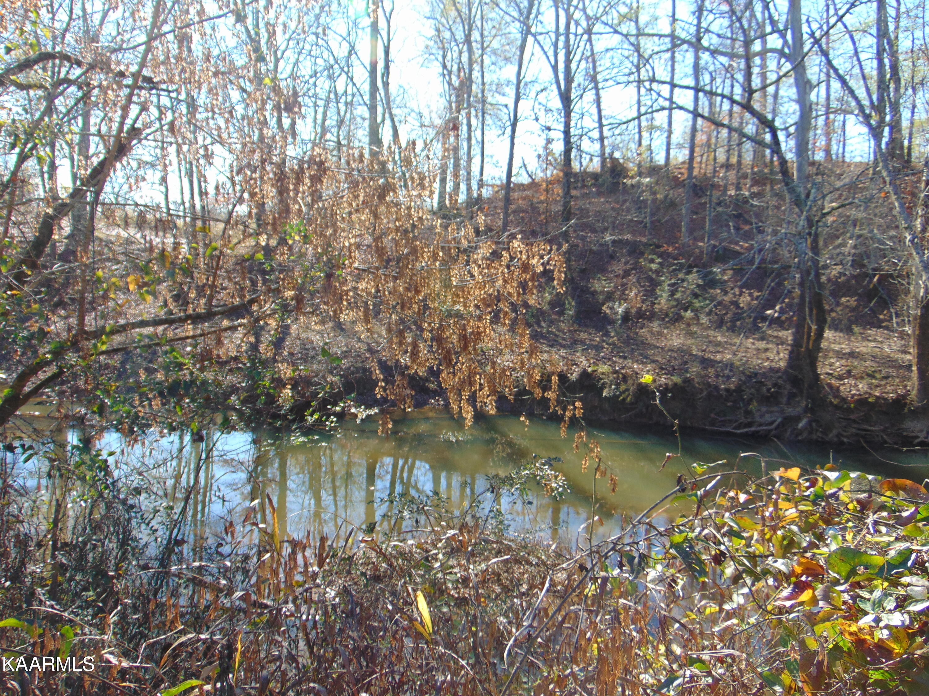 38 R Athens Road Delano, TN 37325 - Photo 11 of 14 DSC01844
