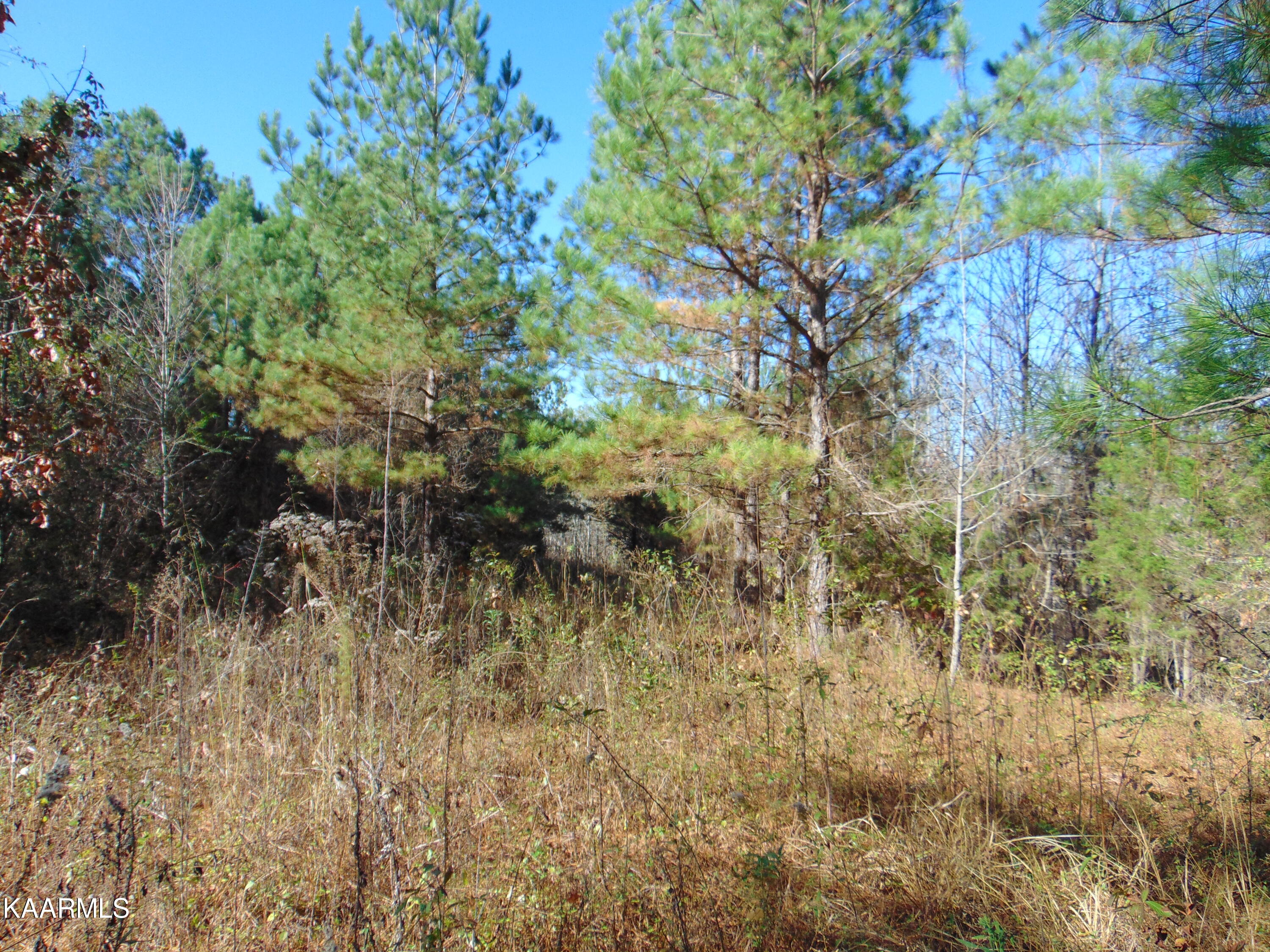 38 R Athens Road Delano, TN 37325 - Photo 13 of 14 DSC01847