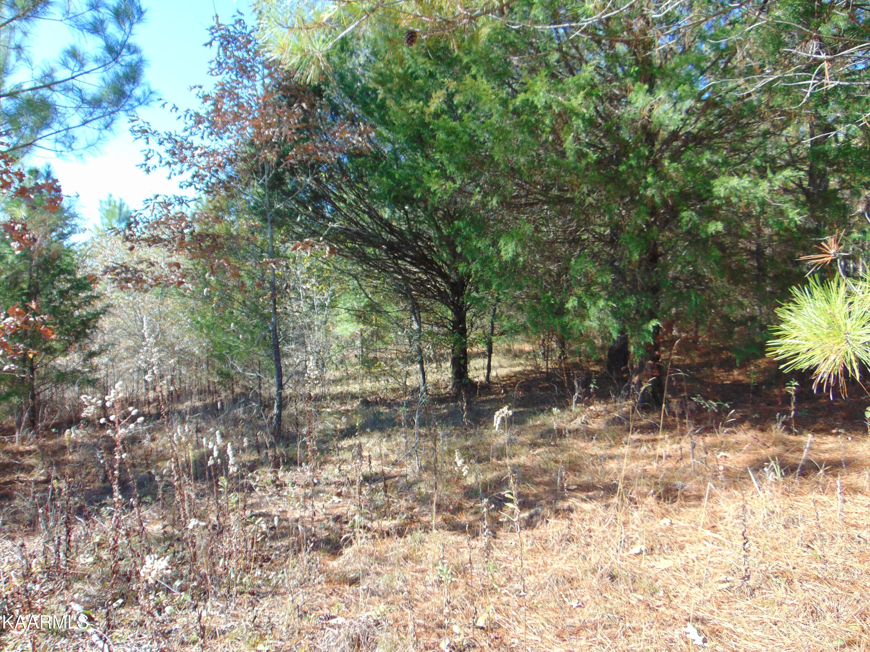 38 R Athens Road Delano, TN 37325 - Photo 14 of 14 DSC01846