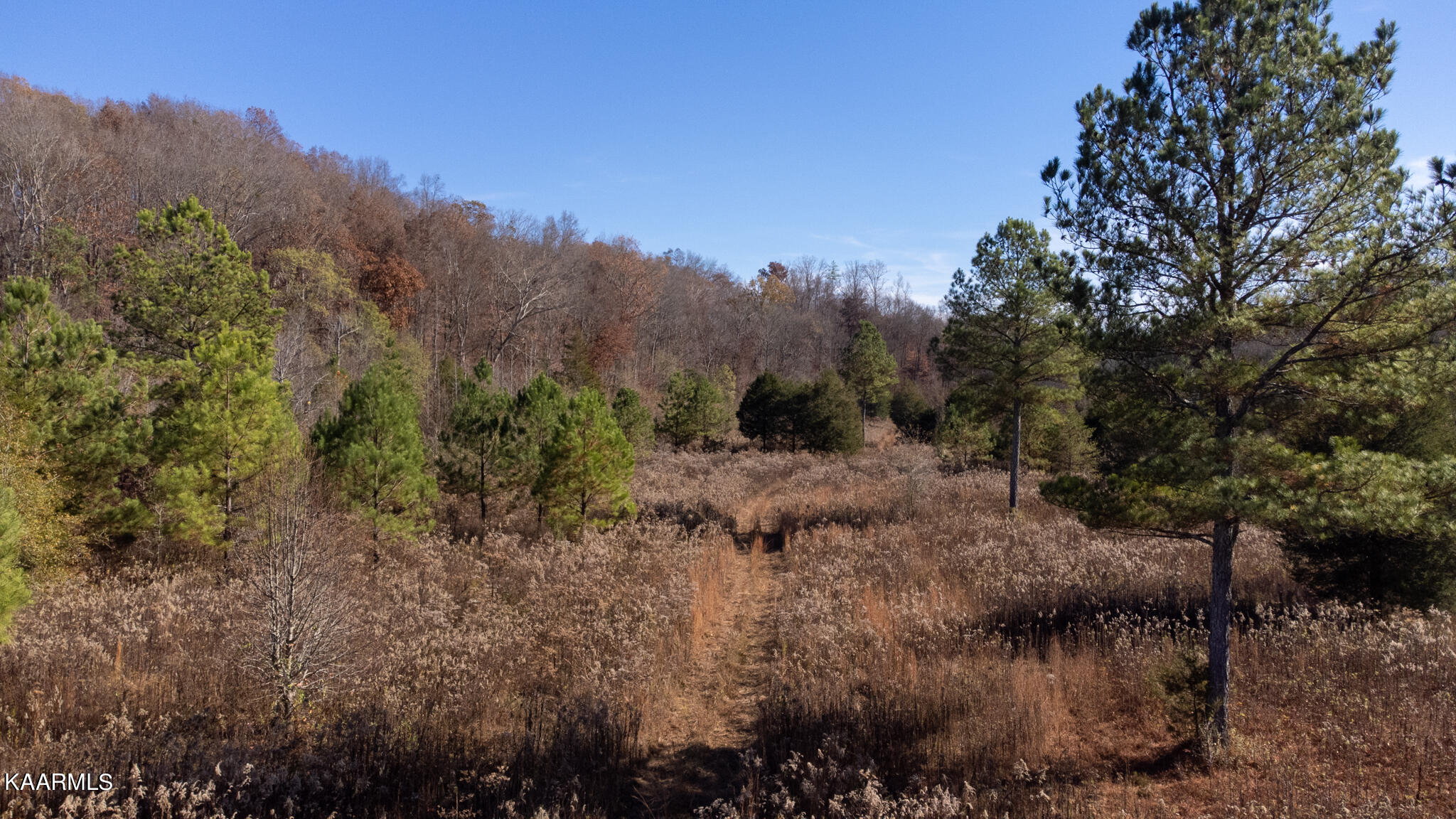 38 R Athens Road Delano, TN 37325 - Photo 2 of 14 Chestuee-02