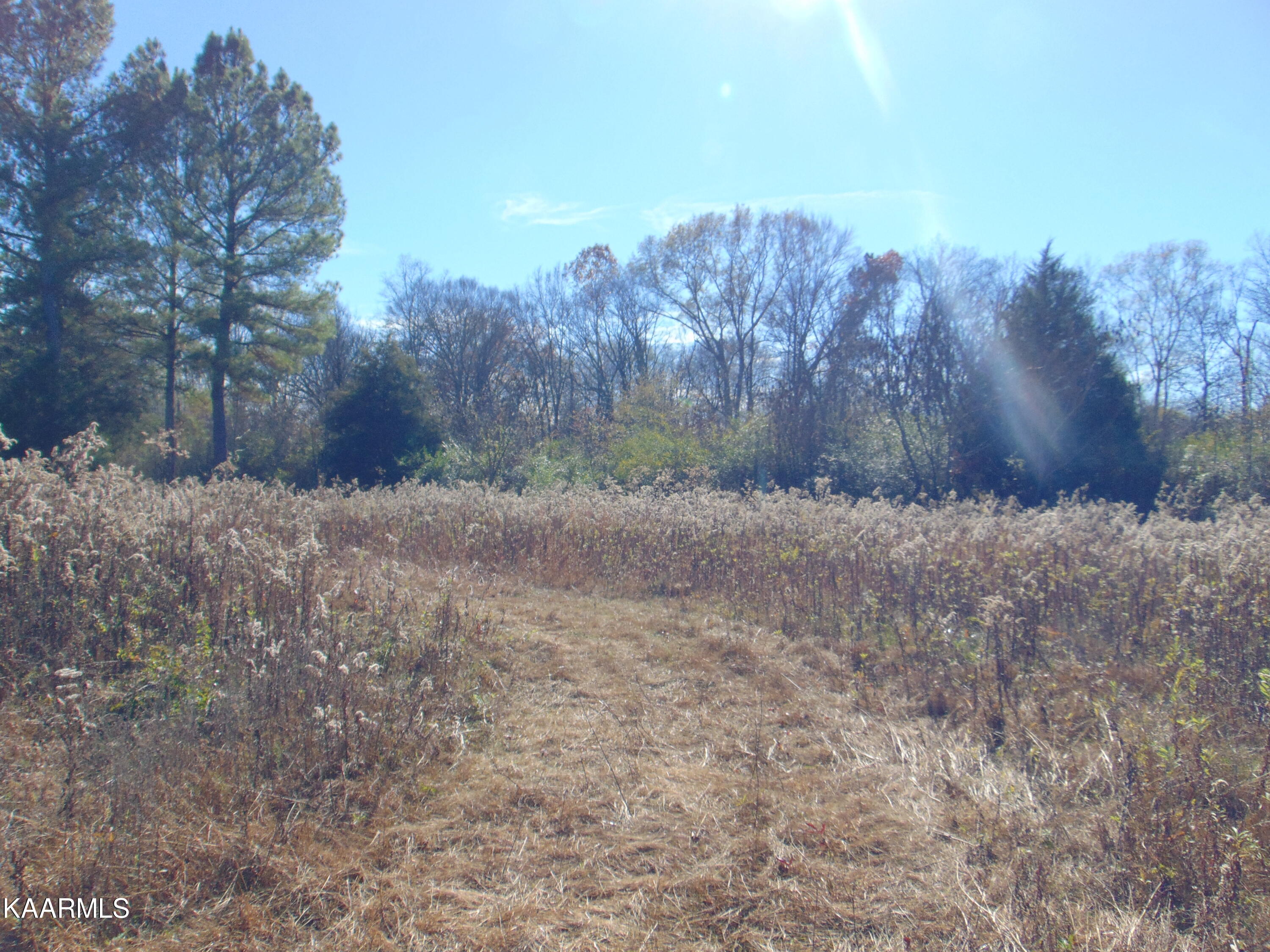 38 R Athens Road Delano, TN 37325 - Photo 6 of 14 DSC01839