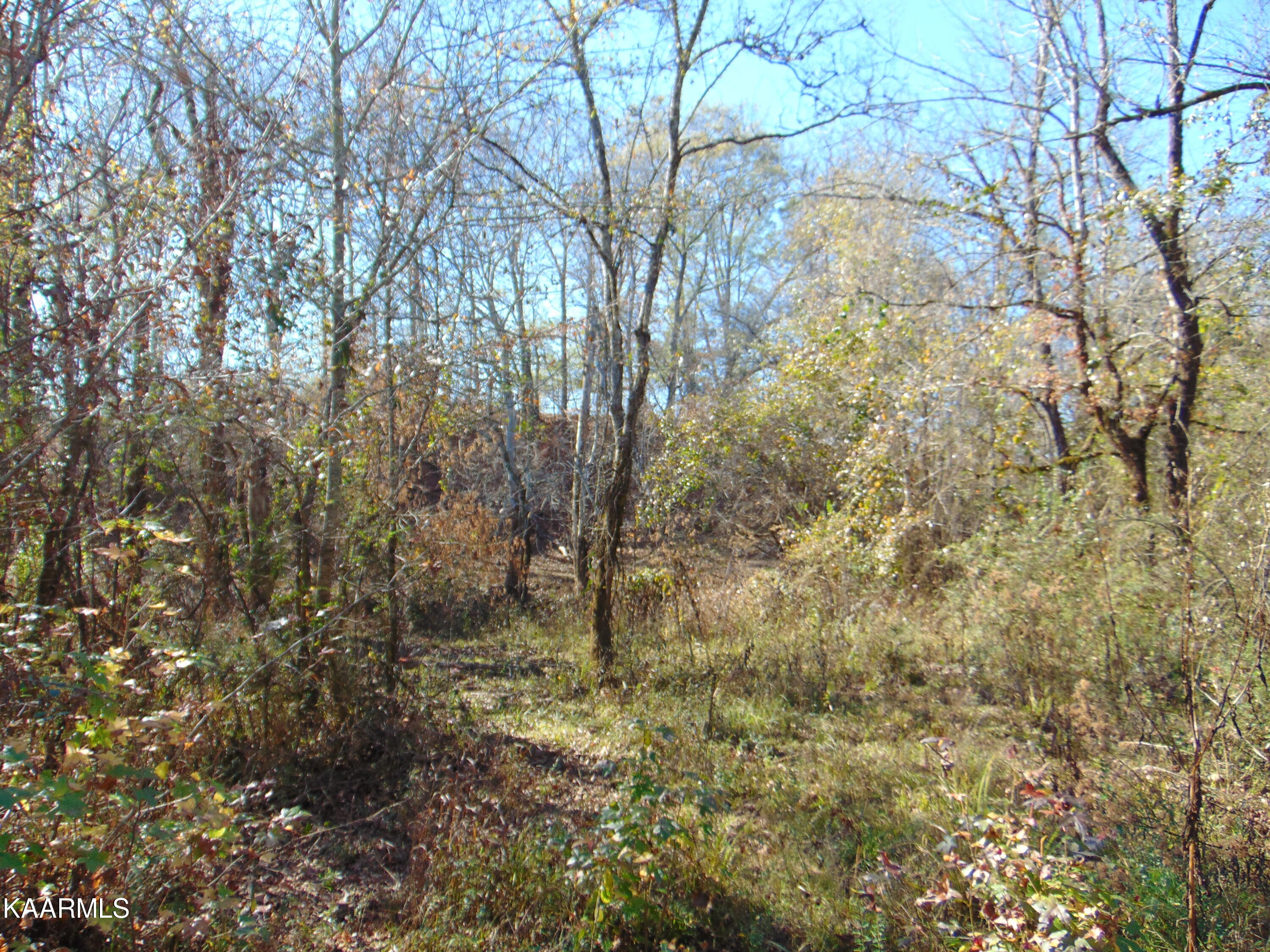 38 R Athens Road Delano, TN 37325 - Photo 8 of 14 DSC01841