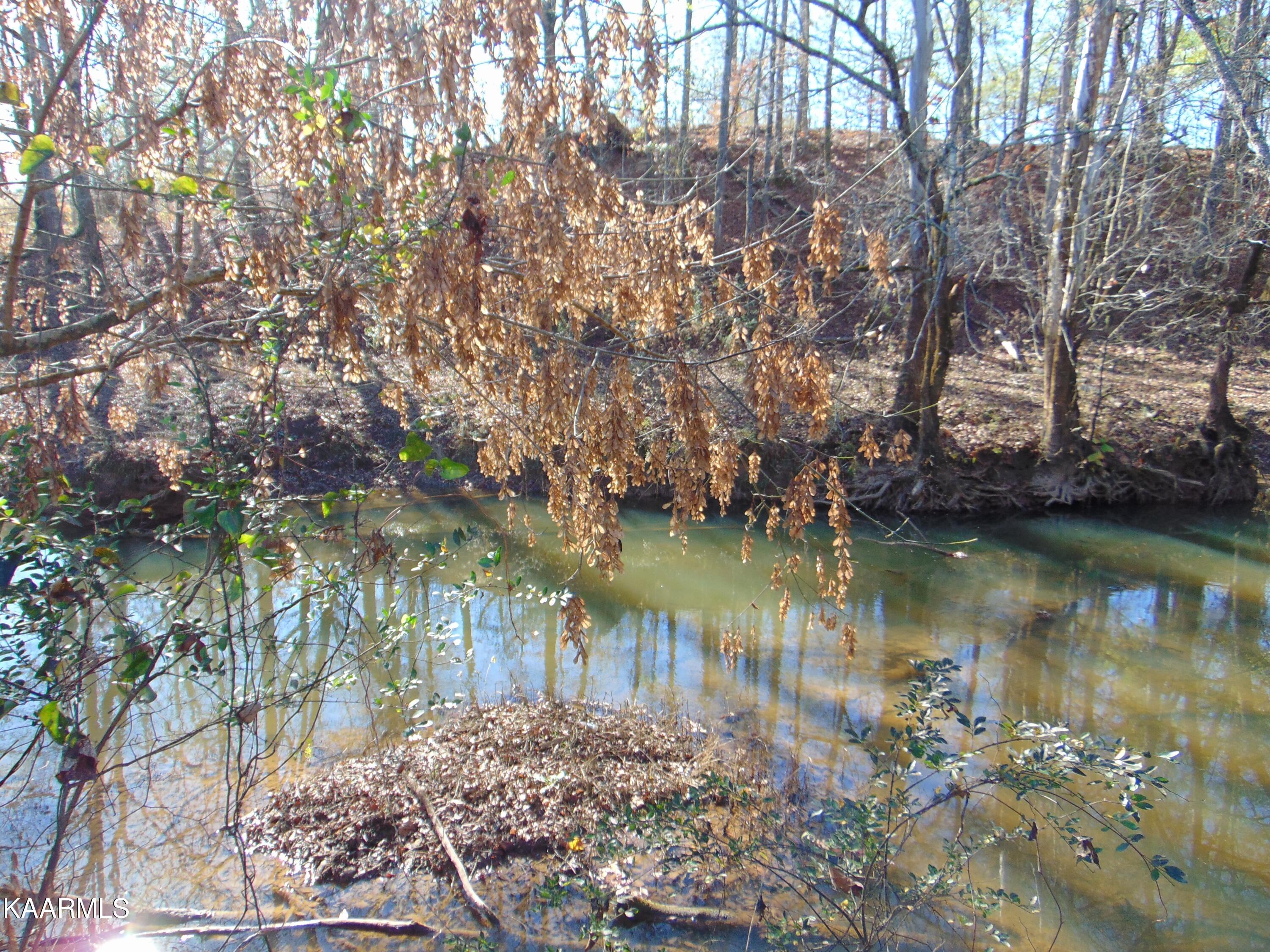 38 R Athens Road Delano, TN 37325 - Photo 10 of 14 DSC01843