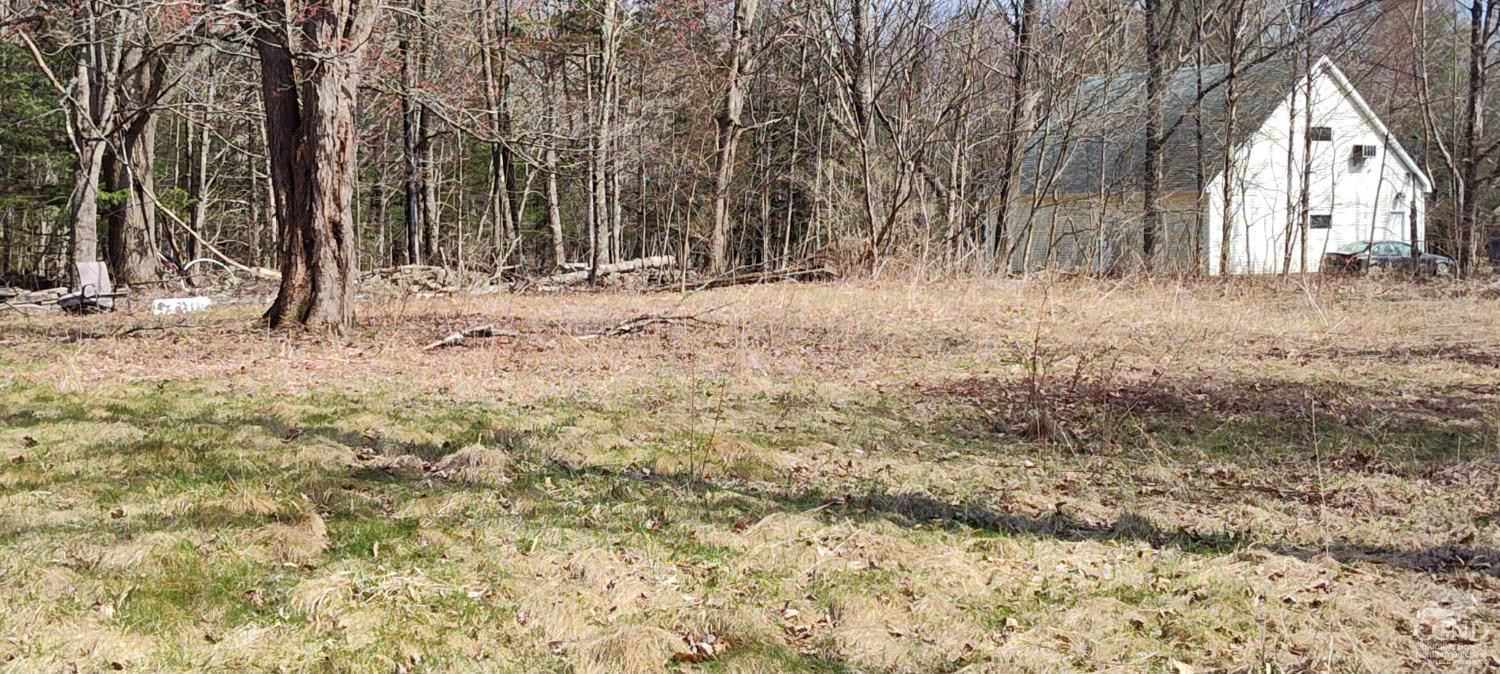 436-450 Scutt Road Greenville, NY 12083 - Photo 22 of 22 a view of wooden fence in a yard