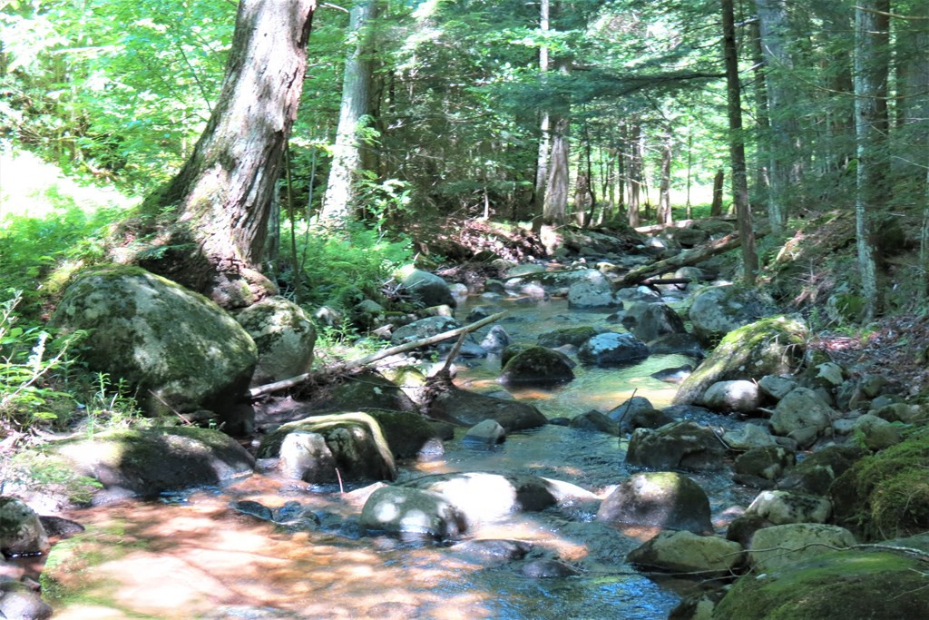 407 Upper Jay-Trumbulls Corners Road Jay, NY 12941 - Photo 19 of 25