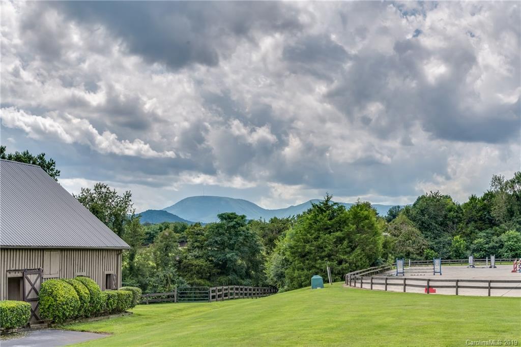 4160 Hunting Country Road Landrum, SC 29356 - Photo 23 of 48