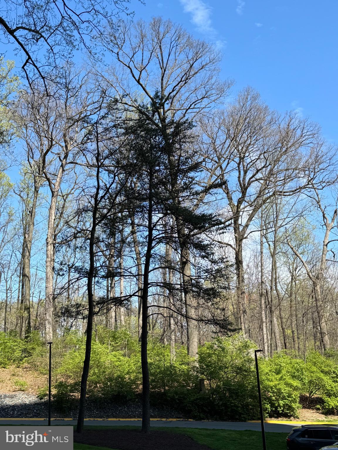 5225 Pooks Hill Road, Unit 701S Bethesda, MD 20814 - Photo 77 of 79