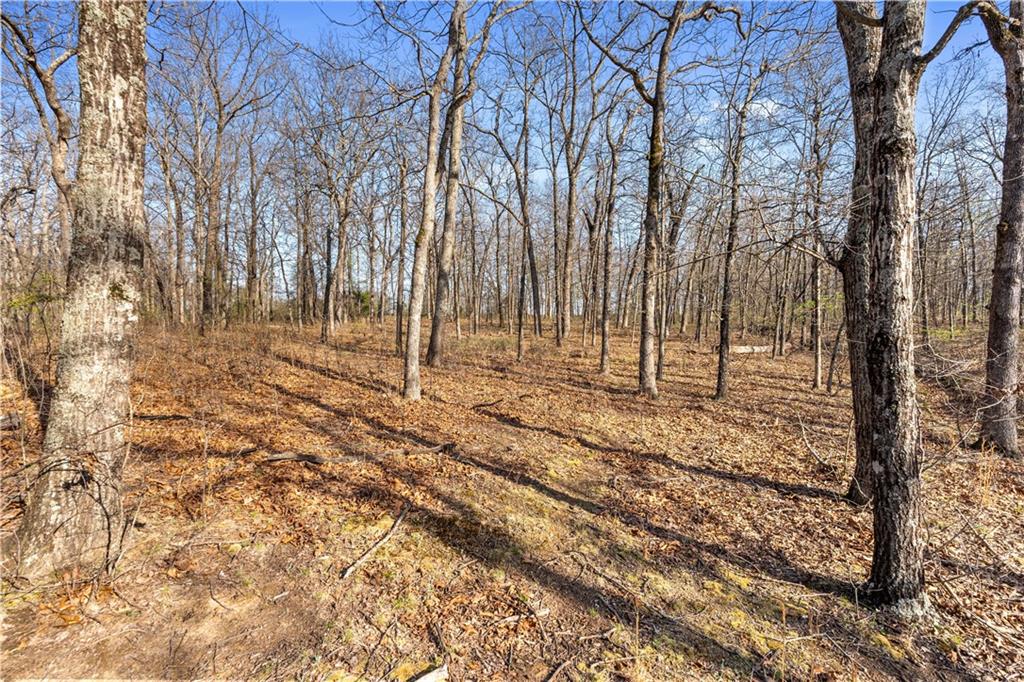 1 East Overland Road Nevada, MO 64772 - Photo 9 of 20