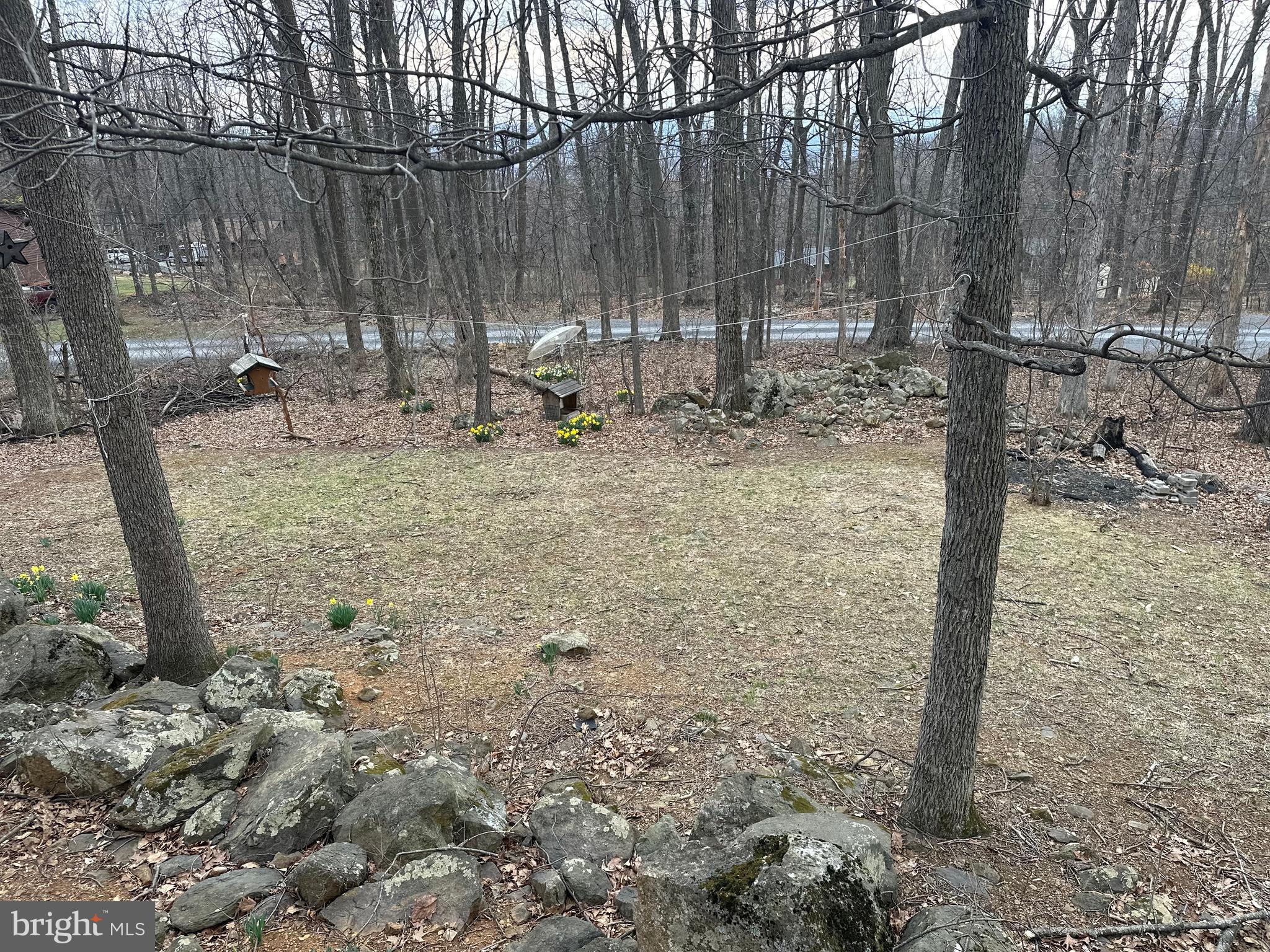 231 Rocky Mt Road Linden, VA 22642 - Photo 23 of 25 Back yard view
