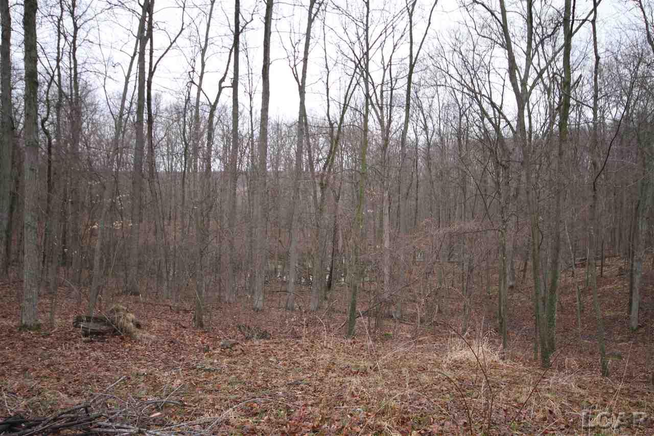 10008 Baker Road Jerome, MI 49249 - Photo 17 of 19