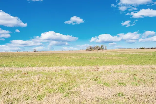 a view of an ocean and a lot of trees