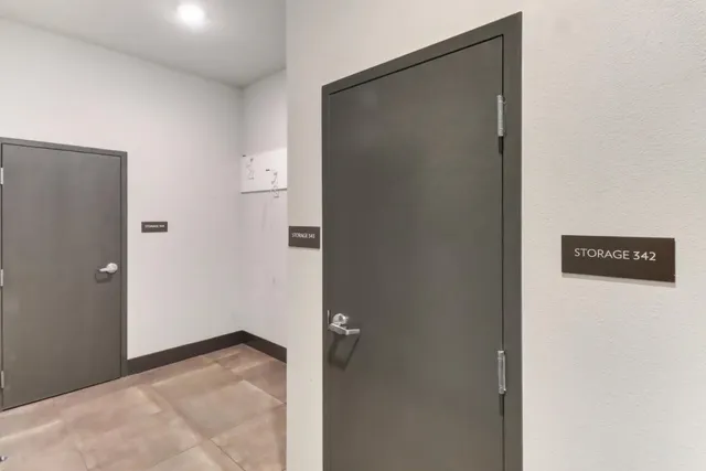 a view of a big yard with potted plants and large trees